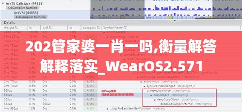 202管家婆一肖一吗,衡量解答解释落实_WearOS2.571