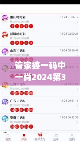 管家婆一码中一肖2024第353期,实时解答解释定义_专业款5.800