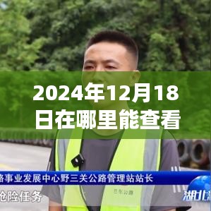 2024年实时降雨量查询途径探讨，最便捷的查看地点