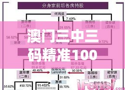 澳门三中三码精准100%：解密澳门博彩的三元运算法则