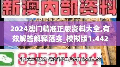 2024澳门精准正版资料大全,有效解答解释落实_模拟版1.442