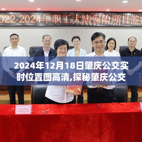 探秘肇庆公交，2024年12月18日实时位置图高清详解