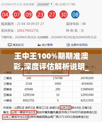 王中王100%期期准澳彩,深度评估解析说明_3DM7.697