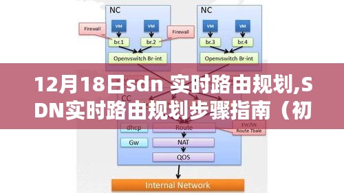 SDN实时路由规划步骤指南，从初学者到进阶用户的实用指南（12月18日更新）