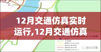 12月交通仿真实时运行的优劣分析及其影响探讨