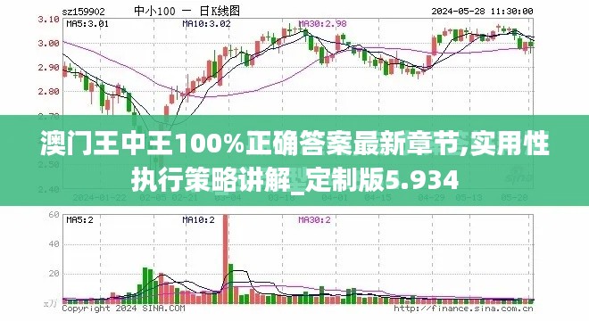 澳门王中王100%正确答案最新章节,实用性执行策略讲解_定制版5.934