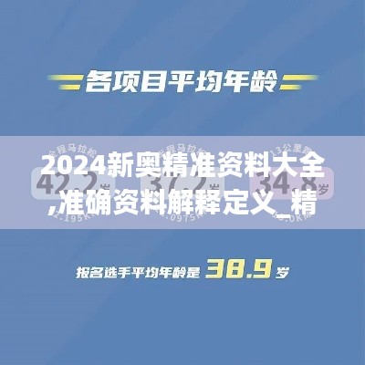 2024新奥精准资料大全,准确资料解释定义_精英版2.389