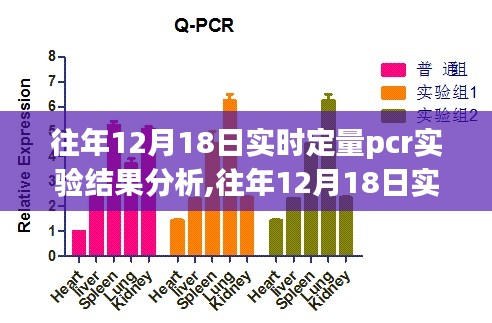 往年12月18日实时定量PCR实验结果深度分析与解读报告