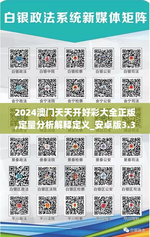 2024澳门天天开好彩大全正版,定量分析解释定义_安卓版3.315