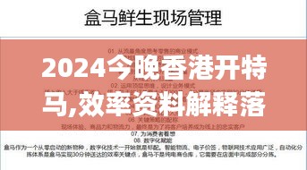 2024今晚香港开特马,效率资料解释落实_完整版4.589