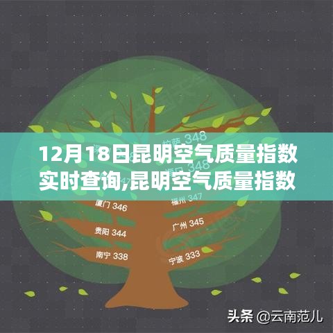 昆明空气质量指数实时查询深度解析与观点阐述，12月18日空气质量报告