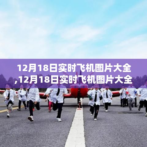 探索航空领域的精彩瞬间，12月18日实时飞机图片大全分享