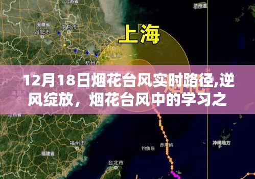 逆风绽放，烟花台风中的学习之路与自我超越奇迹——实时路径追踪报道