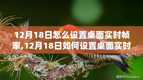 深入解析，如何设置桌面实时帧率——12月18日指南