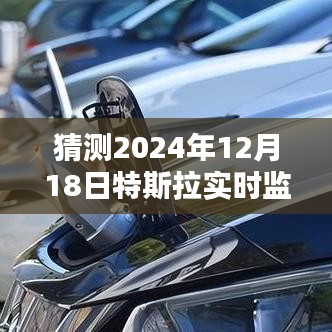 特斯拉监控下的温馨日常与奇遇，2024年实时安装监控新体验