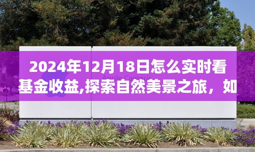 探索自然美景之旅，如何在宁静中实时关注基金收益增长