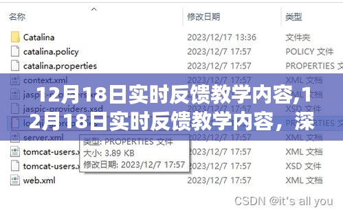 深度探索与互动体验，12月18日实时反馈教学内容详解