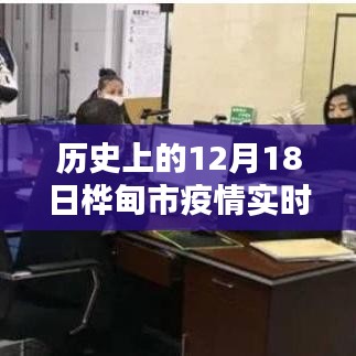 桦甸市疫情实时情况公布，历史数据、查询步骤详解及初学者指南