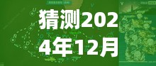 2024年12月21日 第20页