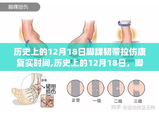 历史上的12月18日脚踝韧带拉伤康复时间探讨与实例分享