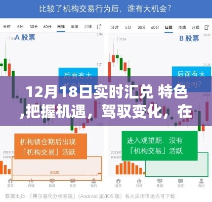 把握机遇驾驭变化，实时汇兑绽放自信成就之花