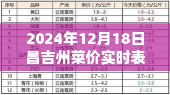 2024年12月21日 第13页