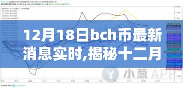 揭秘，BCH币最新动态与数字时代地位重塑（十二月十八日实时更新）