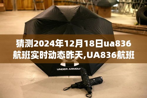 UA836航班未来之旅体验预测与实时动态系统评测报告，揭秘航班动态与潜在挑战