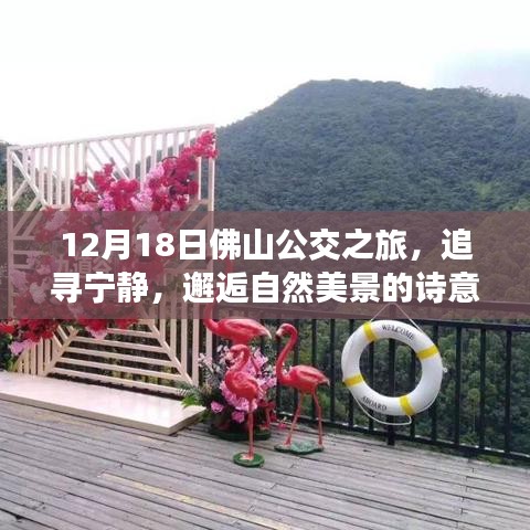 12月18日佛山公交之旅，追寻宁静，探寻自然美景的诗意行程