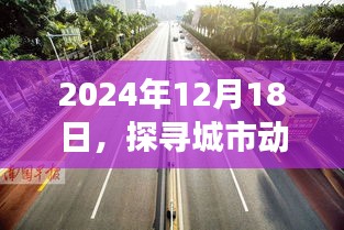 探寻城市动脉中的一抹色彩，公交246路的实时查询之旅纪实