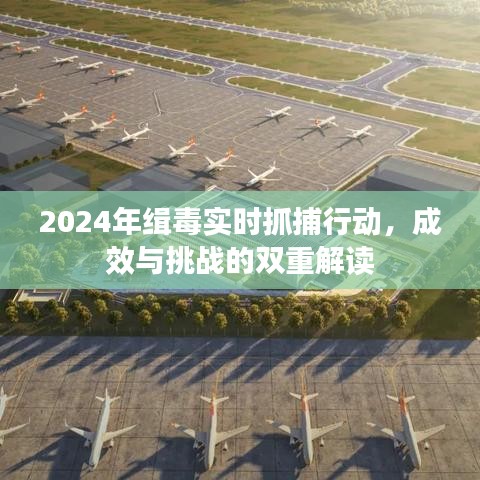 2024年缉毒实时抓捕行动，成效与挑战解析