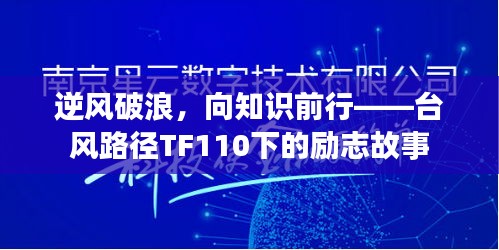 台风路径TF110下的知识破浪者励志故事