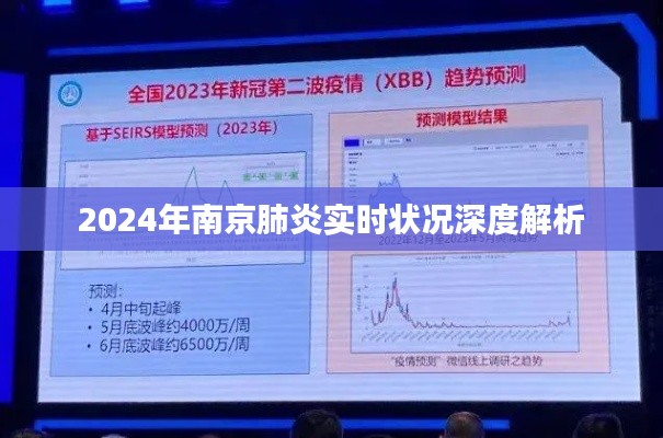 2024年南京肺炎实时状况深度剖析