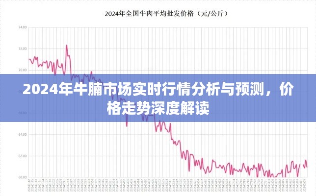 2024年牛腩市场深度分析，实时行情预测与价格走势解读