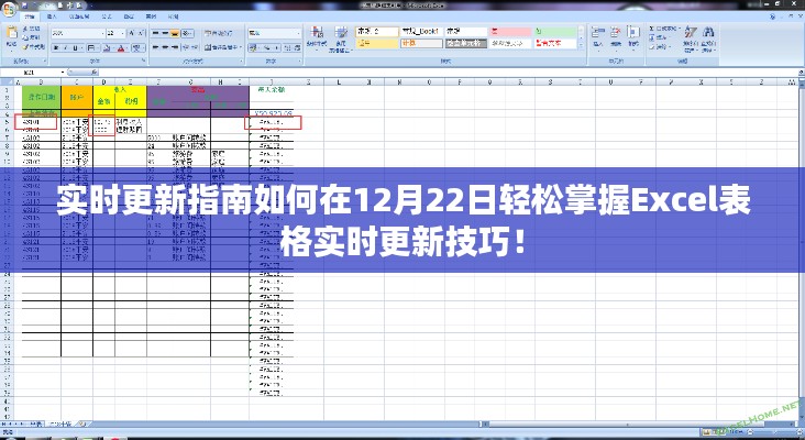 掌握Excel表格实时更新技巧，12月22日指南实时更新