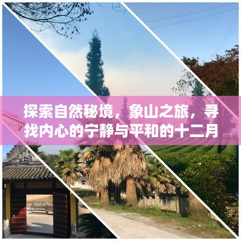 象山十二月奇迹，探寻自然秘境，心灵之旅寻平和与宁静