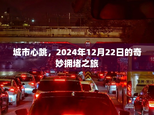 城市心跳，奇妙拥堵之旅的启示——2024年12月22日纪实