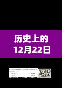 历史上的12月22日漳州诏安疫情实时动态回顾与启示，启示与展望