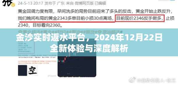 金沙实时返水平台全新体验与深度解析（2024年12月22日）