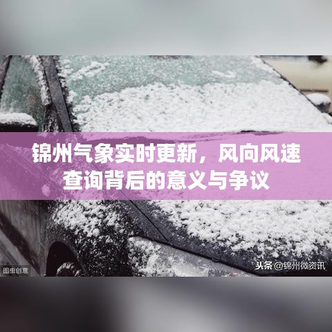 锦州气象实时更新背后的意义与争议，风向风速查询探秘