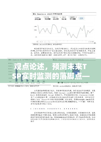 观点论述，预测未来TSP实时监测的落脚点——聚焦2024年12月22日的技术展望