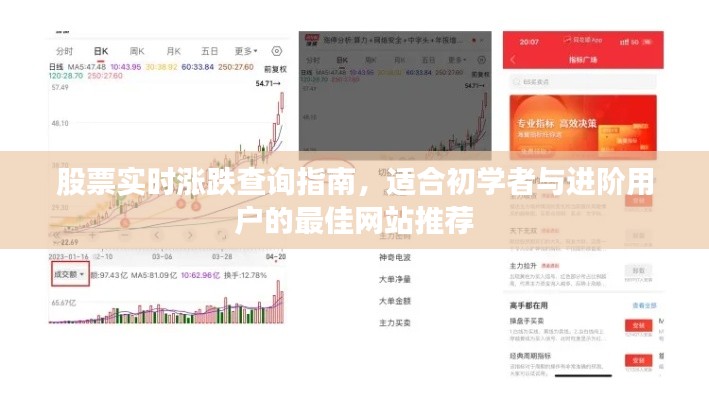 股票实时涨跌查询指南，适合全级别用户的最佳网站推荐