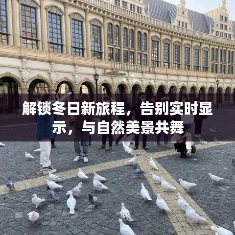 告别实时显示，与自然美景共舞，冬日新旅程开启