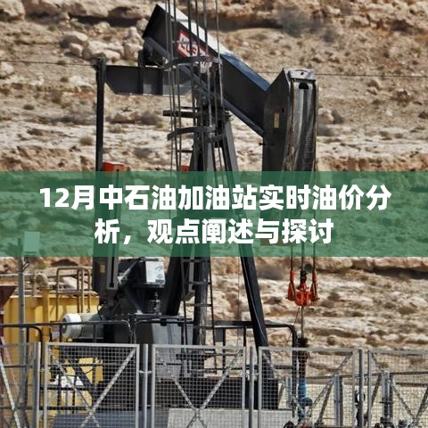 中石油加油站实时油价分析，观点阐述与探讨（12月版）