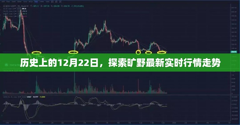 历史上的12月22日，探索旷野的最新实时行情走势