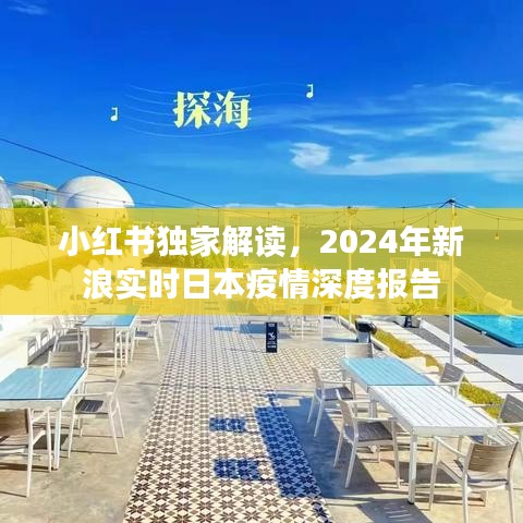 小红书独家解读，2024年日本疫情深度报告及新浪实时数据解析