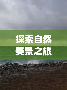 冬至日苹果实时相机，探索自然美景的心灵之旅