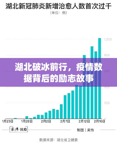 2024年12月24日 第10页