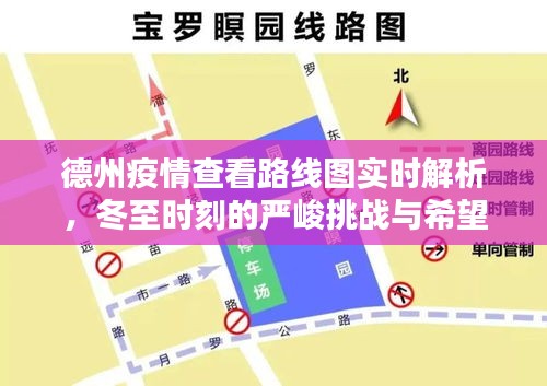 德州疫情实时路线图解析，冬至严峻挑战下的希望曙光