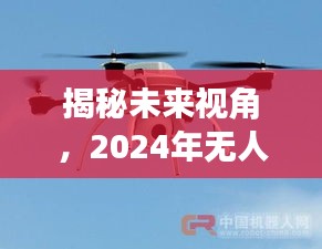 2024年12月24日 第8页